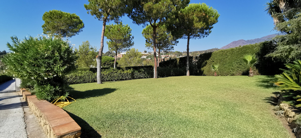 13-5fd73dea700db77384c091ca9818b1a9-8