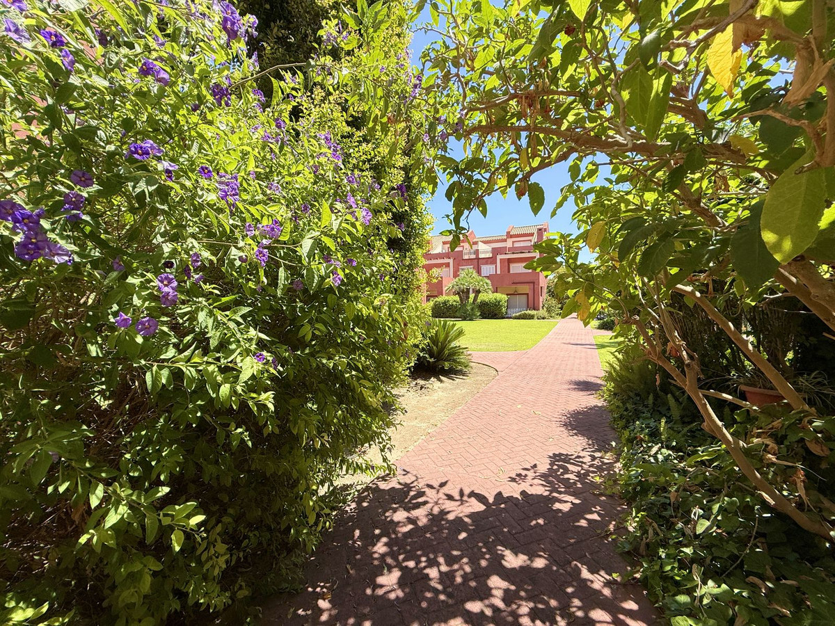 38-9b9a71c4c46e127e5c6f91a74b158396-16