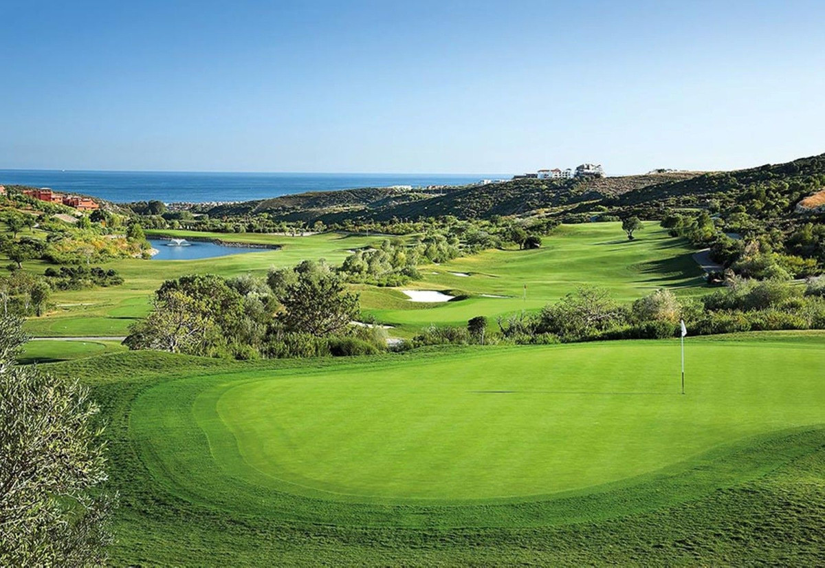 42-3aa90f523689fc5a59d5d37badfe1b6f-14