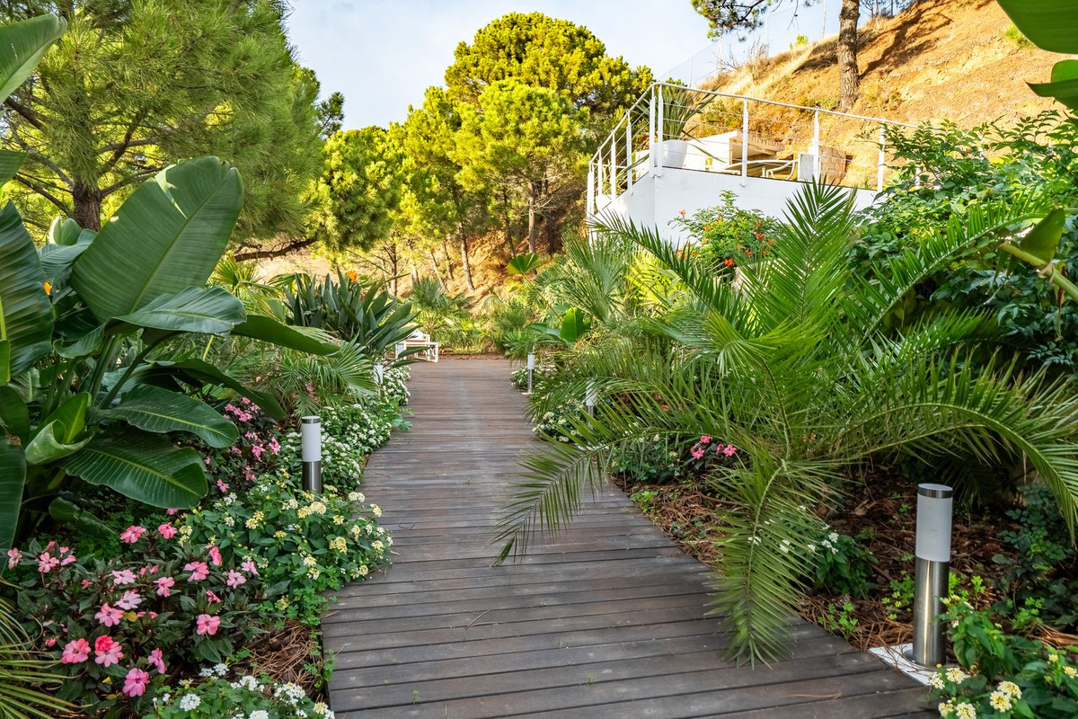 43-a8f5d713bac48f35147f2e8bcee96193-13