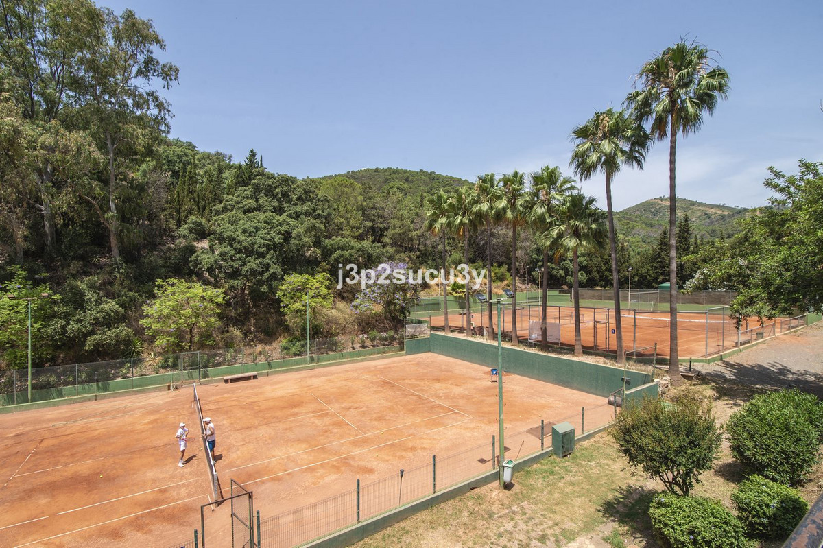 45-01c04843d290a76d467d9ac6fc2ef7a6-13