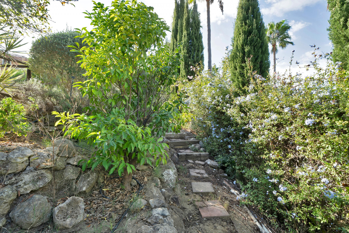 57-55cd4b06d752ba6702add315b86f7c65-5