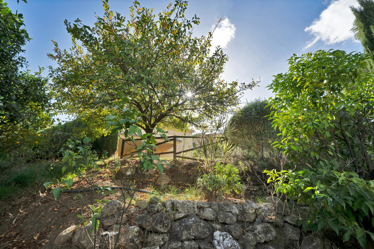 58-f216ef5a4348ce69a3d78ee72f4b3bc2-5